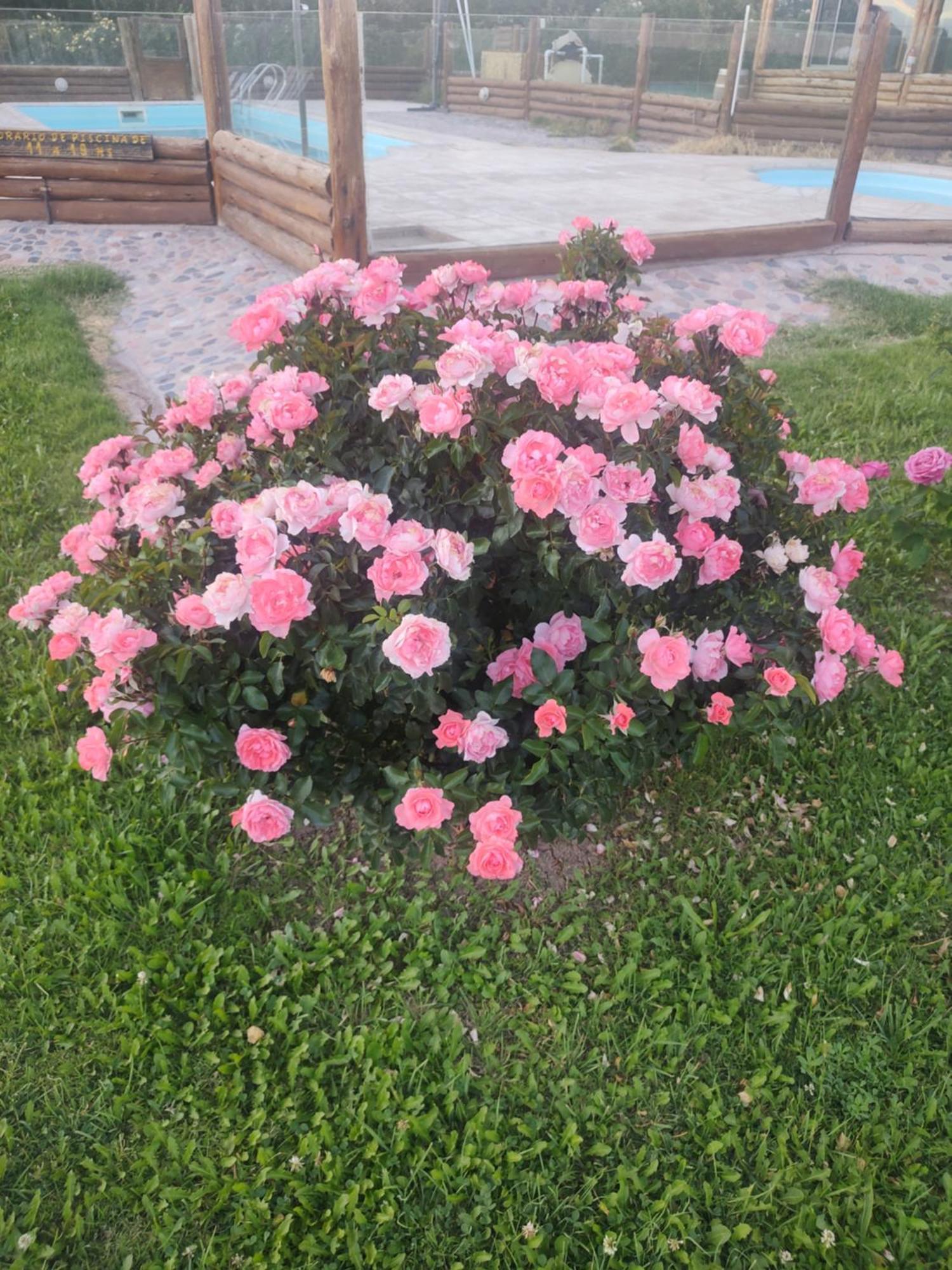 Rio Los Patos 바레알 외부 사진
